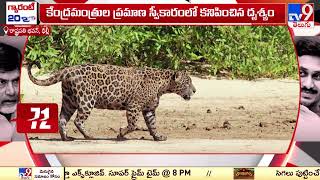 రాష్ట్రపతి భవన్ లో అనుమానాస్పద జంతువు సంచారం  Animal Spotted Inside Rashtrapati Bhavan  TV9 [upl. by Esenaj]