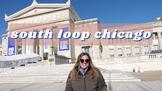 CHICAGO SOUTH LOOP TRAVEL VLOG  One Day in Chicagos South Loop Neighborhood Chicago Travel Guide [upl. by Attekram232]