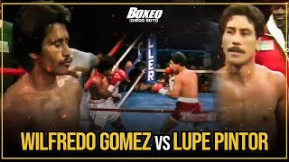 ¡La Increíble Pelea de los 80s Wilfredo Gomez Noquea a Lupe Pintor en el Round 14 🤯 [upl. by Nuahsor]