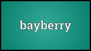 Bayberry Meaning [upl. by Meekyh]