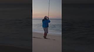 Surf Fishing for Roosterfish in Cabo San Lucas [upl. by Ebag]