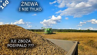 Siedlisko  reanimacja odc160 quotŻniwa 2024 kucie odpływu i trochę ogródkaquot [upl. by Jemina]