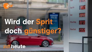 Teures Tanken Habeck will verschärftes Kartellrecht Lindner stellt sich dahinter I Berlin direkt [upl. by Tindall]