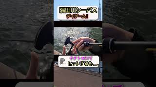 隅田川シーバス！デイゲームテクトロで痛恨のラインブレイク。 fishing シーバス テクトロ [upl. by Sissel]