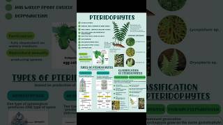 Pteridophytes  Plant kindgom  biology class11th plant  Manan Sachdeva  Bio Archives [upl. by Annaej776]