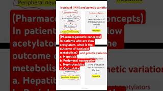 In patients who are slow acetylators what is the outcome of isoniazid metabolism [upl. by Krid]