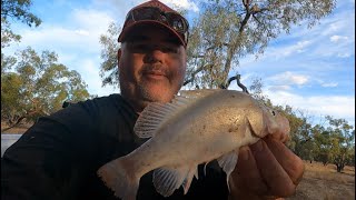 Yellowbelly Fishing the Paroo River [upl. by Ytissac]