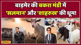 Bakrid2024 Shahrukh और Salman के नाम से बिक रहे इन बकरों की कीमत जान रह जाएंगे हैरान local18 [upl. by Kessel]