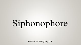 How To Say Siphonophore [upl. by Leahcimrej515]