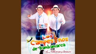 Ven a Bailar Con los Campesinos [upl. by Suiravad]