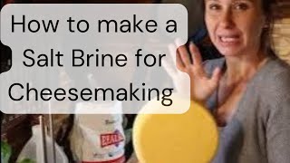 How To Make and Use a Salt Brine for Cheesemaking [upl. by Nekciv413]