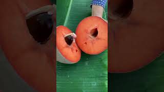 SAWO RAKSASA Mamey sapote [upl. by Ennaer]