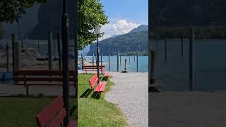 Walensee Switzerland 🇨🇭 travel nature europe shorts weesen walensee relaxing [upl. by Cornia570]