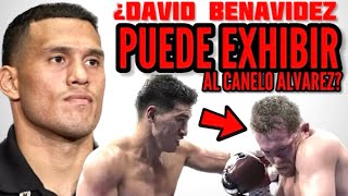 ¡ADIÓS DUDAS ¿David Benavidez PUEDE HACER LO MISMO que Dimitry Bivol LE HIZO al Canelo Álvarez [upl. by Einnad395]