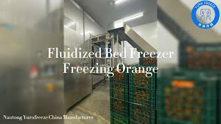 Fluidized bed freezer for freezing Orange [upl. by Martelli]