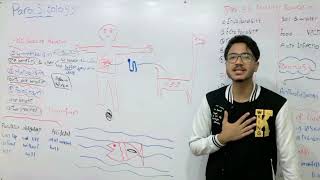 parasitology introduction [upl. by Fairfield]