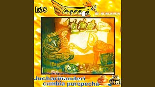 Cumbia Purepecha [upl. by Morganne104]