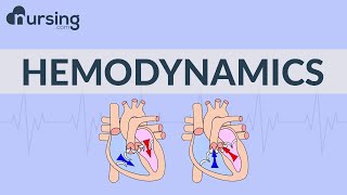 The Basics of Hemodynamics Nursing School Lessons [upl. by Havstad]