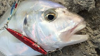 Solo fishing on rock jetty  shore jigging ultra light fishing [upl. by Nohtanoj658]