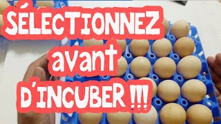 Avant lincubation comment sélectionner et nettoyer les oeufs [upl. by Hulen]