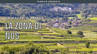 La zona centrale di Nus in Valle dAosta  Tannico [upl. by Ihp]