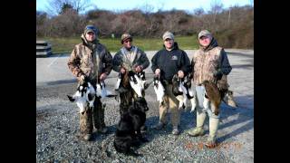 World Class Sea Duck hunting with Ocean State Outfitters in Rhode Island or Massachusetts [upl. by Rusty885]