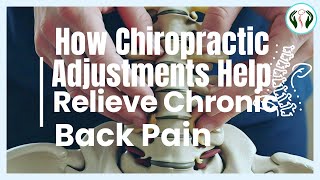 How Chiropractic Adjustments Help Relieve Chronic Back Pain – Dr P S Neogi Explains [upl. by Grant]