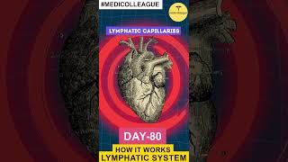 MEDICOLLEAGUE quotHow the Lymphatic System Works Protecting Your Healthquot neet100days science [upl. by Gnay]