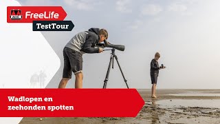 Zeehonden spotten op Mandø Denemarken [upl. by Ettenig339]