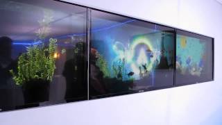 Hisense transparent display on a fish tank [upl. by Naujd]