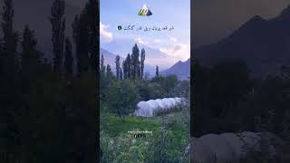 Sher Qilla Punial Valley Ghizer Gilgit youtubeshorts viralvideo mountains viralshorts pakistan [upl. by Laiceps]