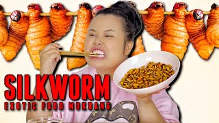 EATING SILKWORM PUPA BEONDEGI 번데기 리얼사운드 먹방 MUKBANG 먹방 EATING SHOW [upl. by Eedyah261]