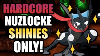 Pokémon X Hardcore Nuzlocke  Shiny Pokémon Only No items No overleveling [upl. by Nosneh]