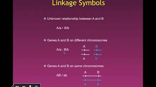 Ch 4 Eukaryotic Chromosome Mapping [upl. by Gatias]