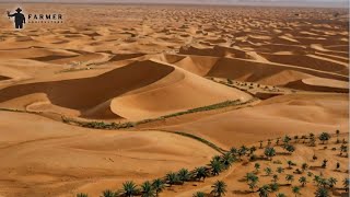 Revealing the UNs Hidden Role in Sahara Desert Farming [upl. by Ynot681]