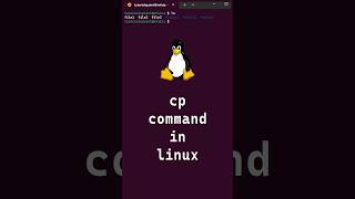 910 Basic Linux Commands  cp command in linux shorts linux linuxcommands [upl. by Files]