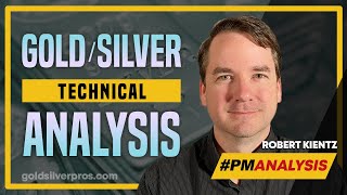 GoldSilver Technical Analysis Plus Detailed Review of GoGold Resources [upl. by Amalberga547]