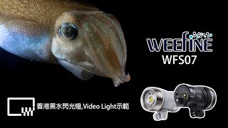 WEEFINE WFS07 閃光燈 VIDEO LIGHT 香港黑水 簡單示範 [upl. by Leese]