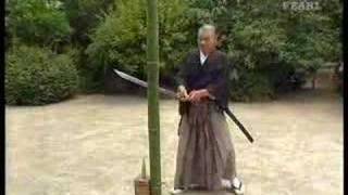 Great tameshigiri by Ueki sensei  Legendary Budo Masters [upl. by Nugesulo]