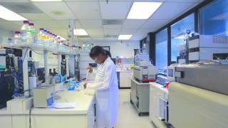 Documentary  Kinetex CoreShell Technology HPLC Column for Reversed Phase Chromatography [upl. by Tergram324]