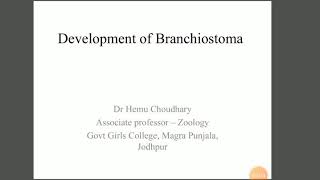 Development of Branchiostoma [upl. by Viviene785]