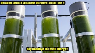 Microalgae Biofuel A Sustainable Alternative To Fossil Fuels Say Goodbye To Fossil Energy [upl. by Odnarb416]