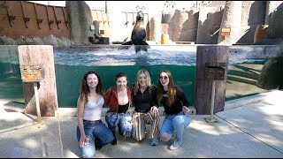 PLUSH Tour Vlog 4  Phoenix AZ Zoo [upl. by Eurd830]