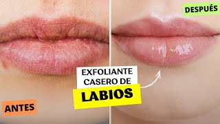 exfoliante para labios casero CON 2 INGREDIENTESFABI ZEA [upl. by Siram]