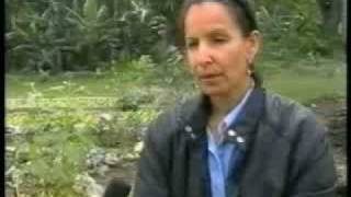 Agroecologia en Cuba 33 [upl. by Emaj]