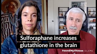 Sulforaphane increases glutathione in the brain  Jed Fahey [upl. by Calloway657]