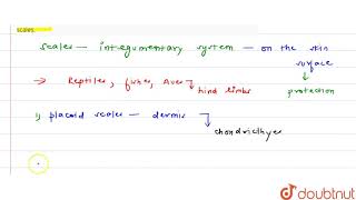 Give one example each for an animal possessing placoid scales and that with cycloid scales [upl. by Shutz]