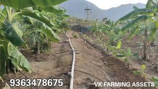 7 acres agricultural land for sale tn salem  Panamarathupatti near [upl. by Malchy]