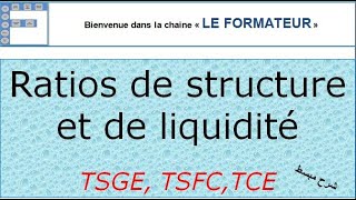 Ratios de structure financière et de liquidité شرح مبسط [upl. by Ardnoyek869]