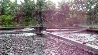 Trickling Filter in Dhinapur [upl. by Whale]